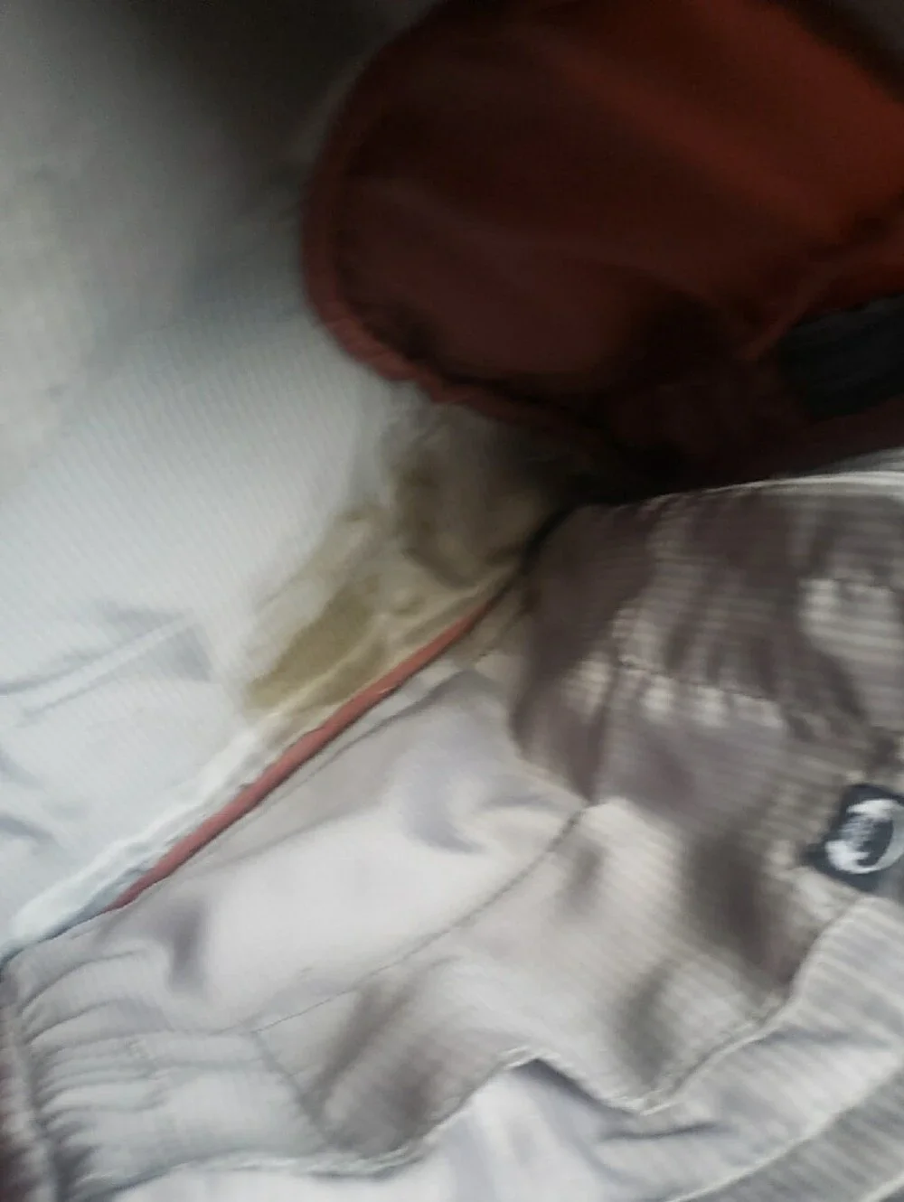 OSPREY Meridian Backpack in Rust